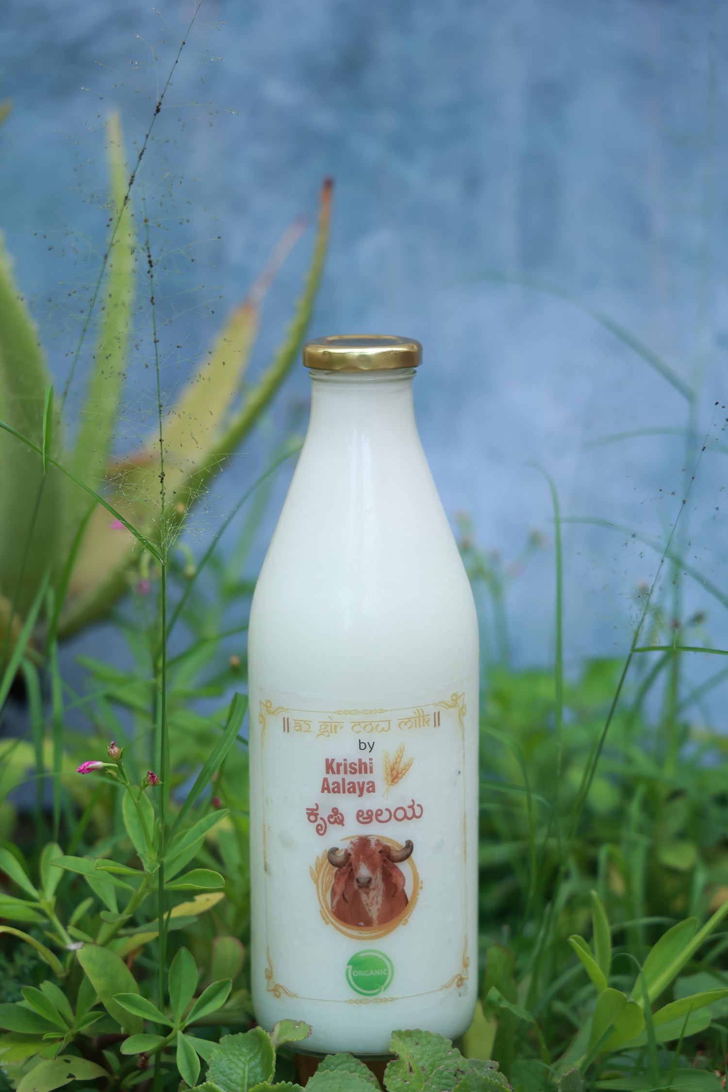 Organic A2 Milk