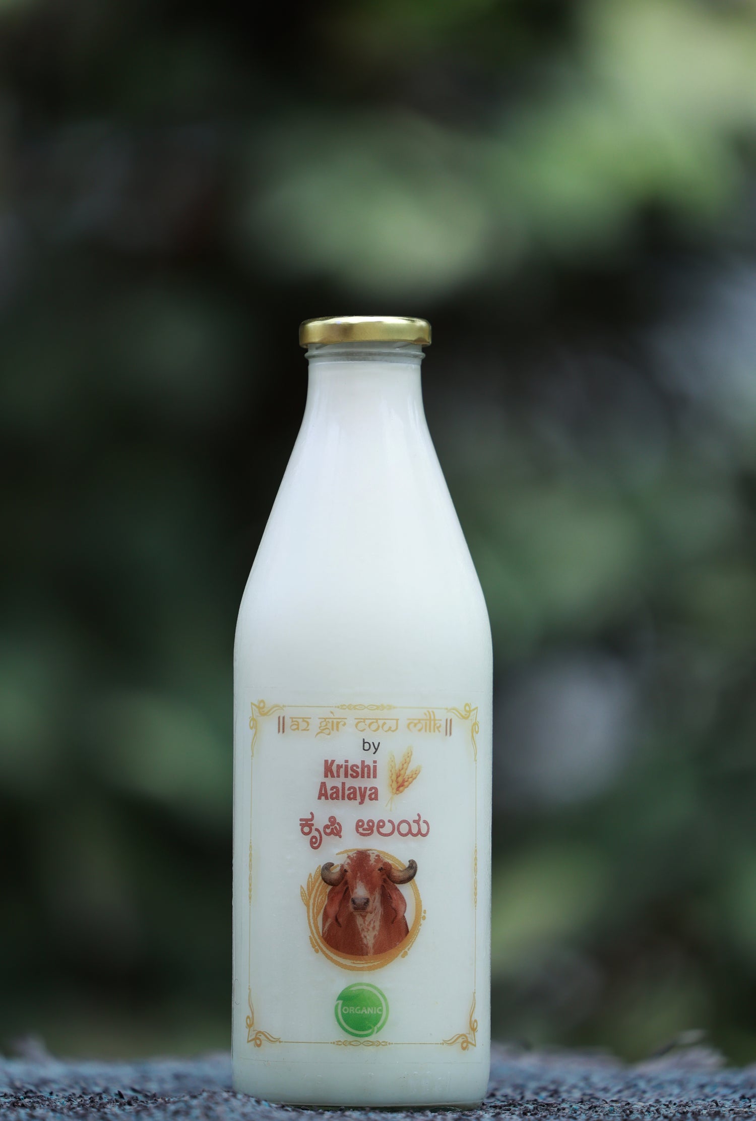 Organic Gir Cow Milk